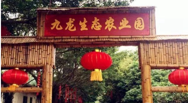 微信图片_20200315214240.png