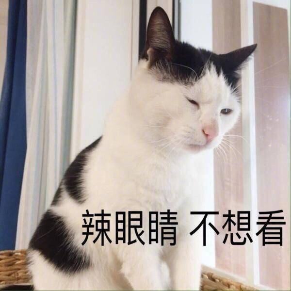 辣眼睛.jpg