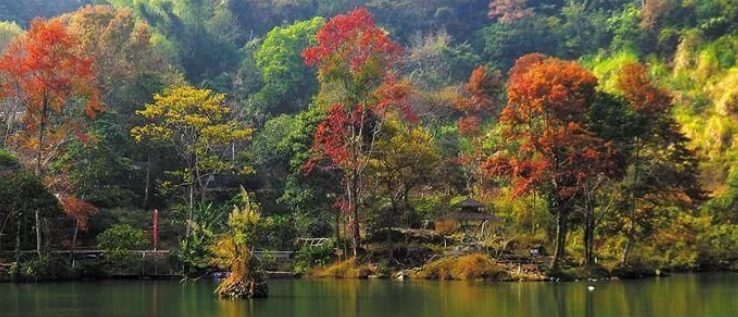 微信截图_20201114125930.png