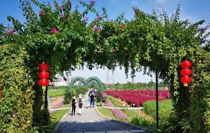 微信截图_20201129132554.png