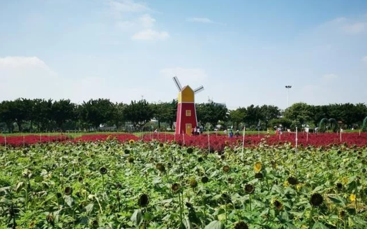 微信截图_20201129132544.png