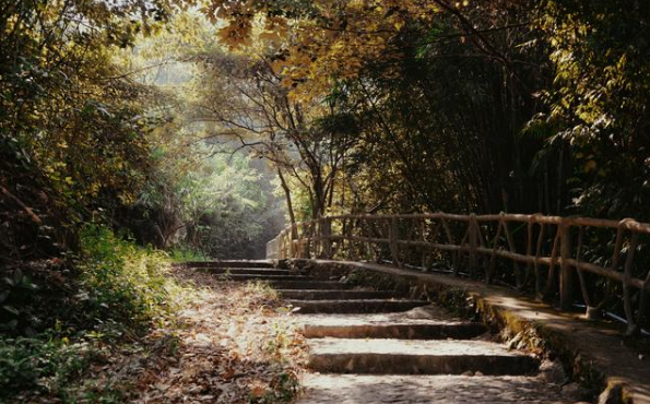 微信截图_20201201100152.png