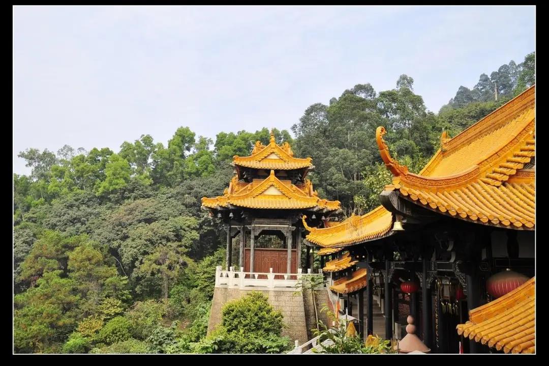 微信图片_20210509102156.jpg