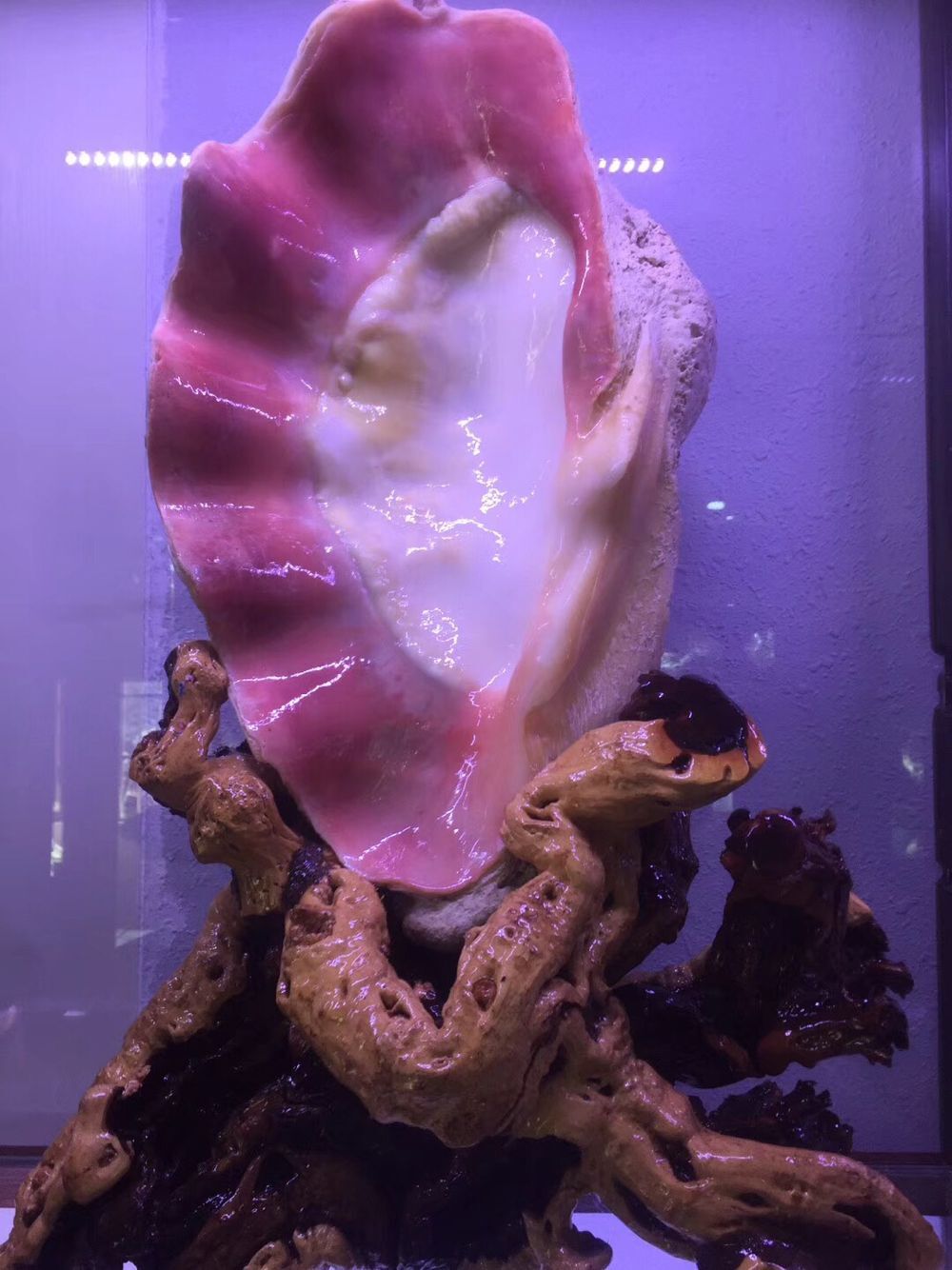 QQ图片20220303194943 - 副本.jpg