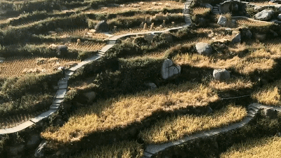 50301b816b5b645388319d054f750d1c.gif