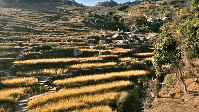 d7e35934ab3b65128afebf2d3b00f64d.gif