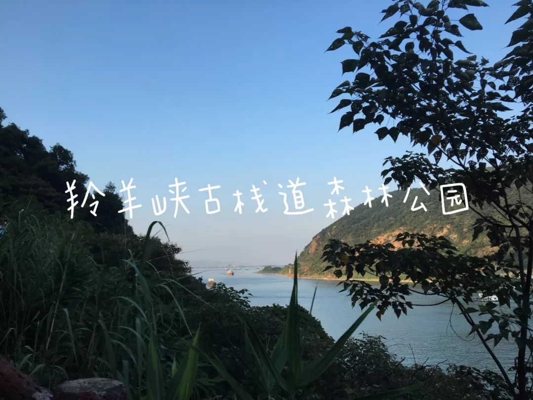 2f563ac28e902f75c08a49741bd1613b.jpeg
