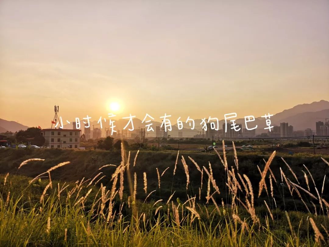 350a40a965949eaba27f220893c34b86.jpeg