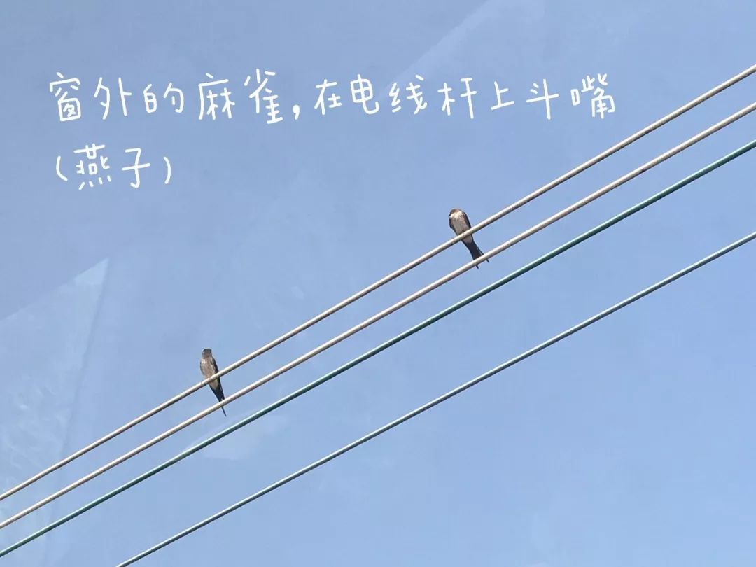 71385645a65f348c93a3c3b291391afc.jpeg