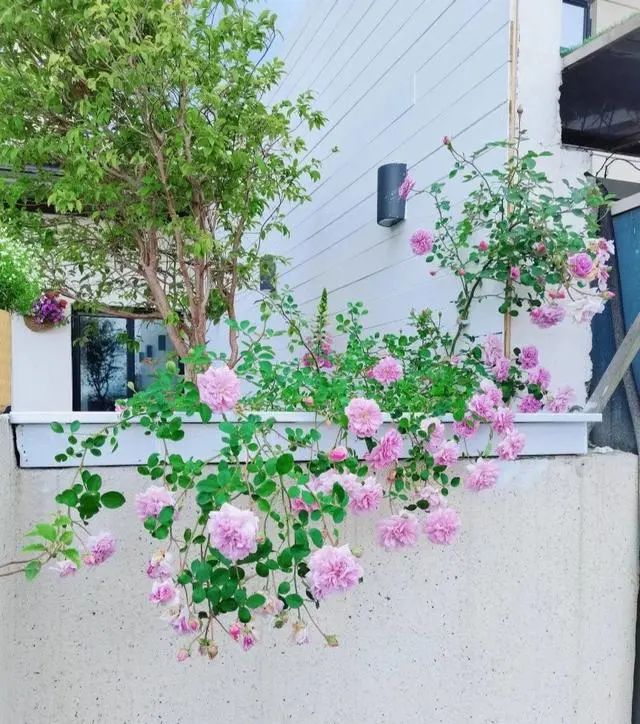 a070813d3be4c736088bdd3a794462c9.jpeg