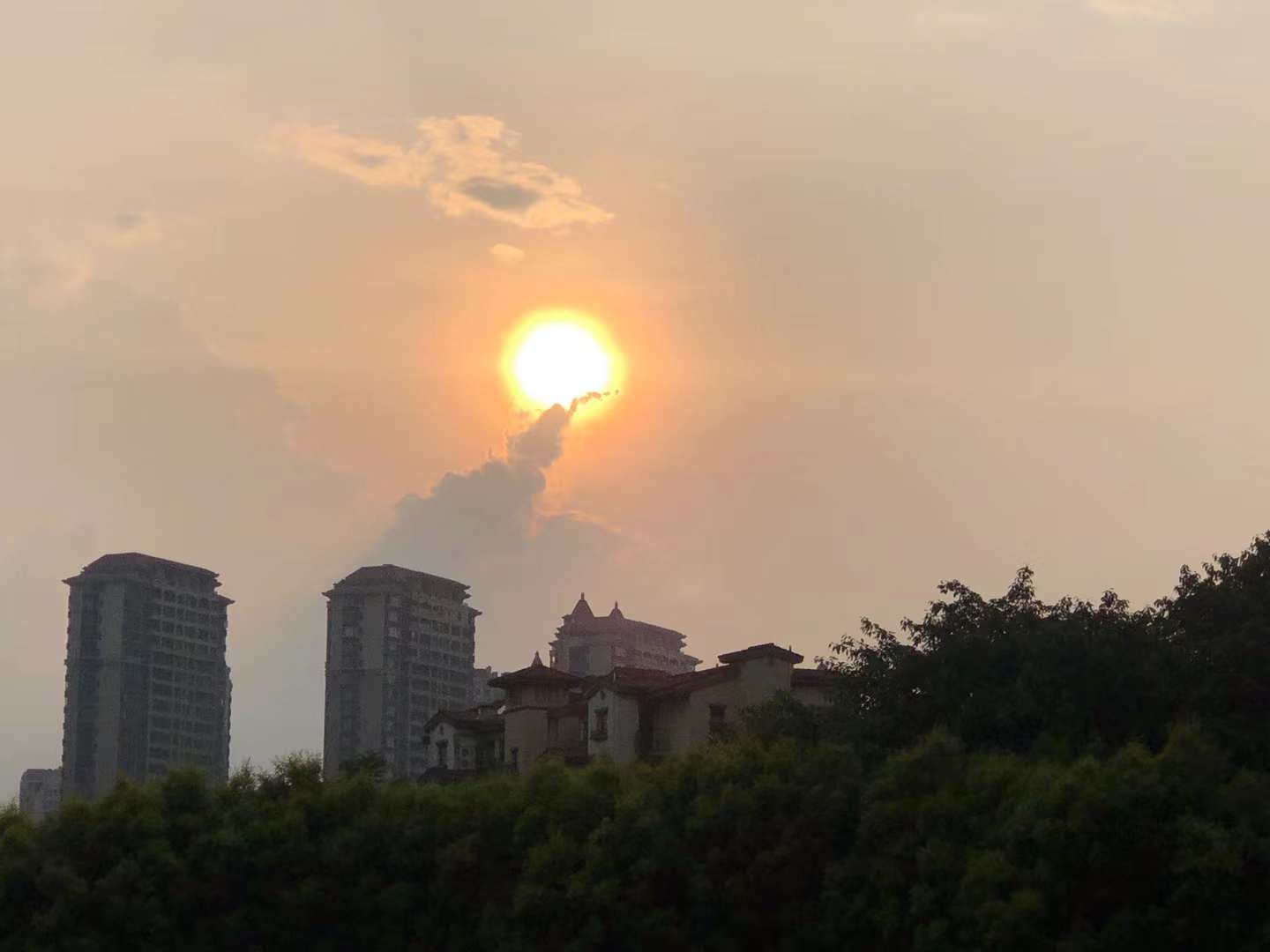 微信图片_20220820112957.jpg