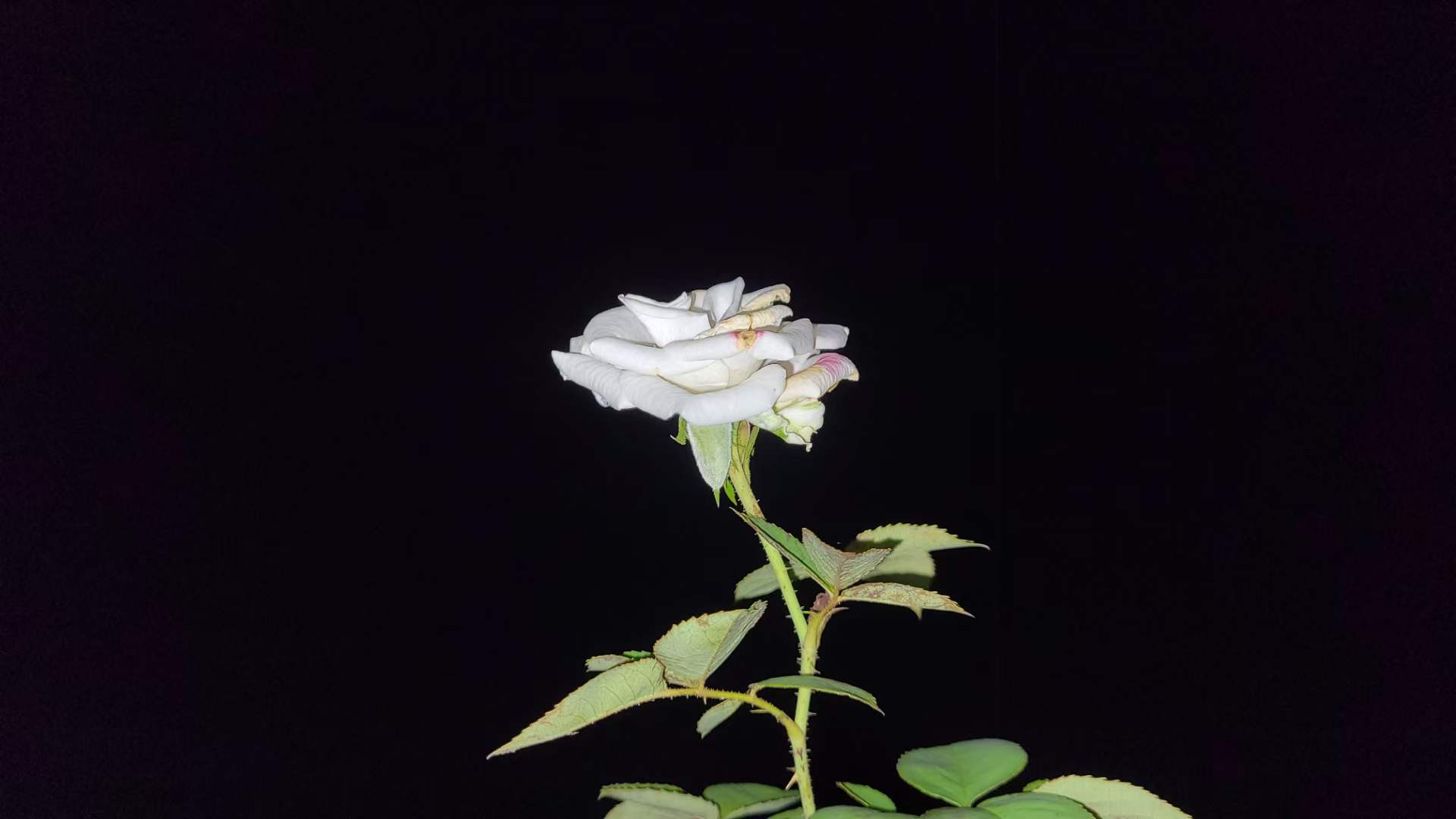 微信图片_20220820112957.jpg