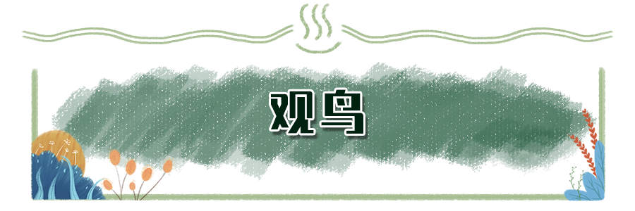 9b93a003e3e01d40126d3705c5e8f317.png
