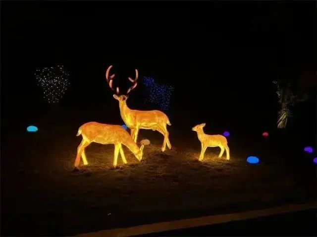 c1dd5ba60f663fbeb06b2d4a0a482c00.jpeg