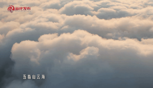 7bce395b9dad4166e422f7c72377b9bf.gif