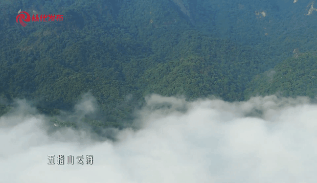 a4b5689f6e96b0914e7951c216a0bb8e.gif