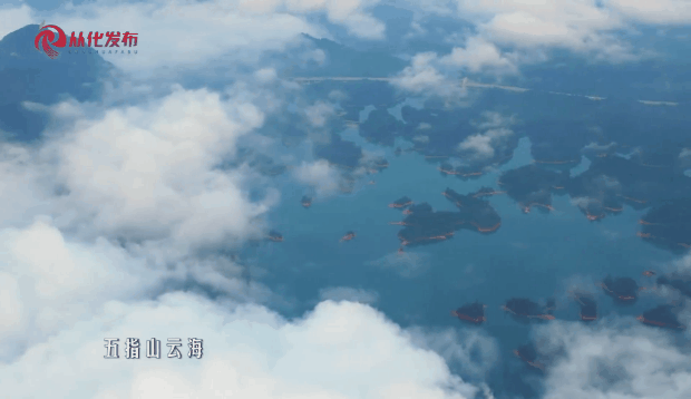 d4c8c68fbe094c024ce9796302218660.gif