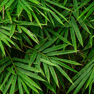 ab4cbd6e7ba199db9cdbf0952fedaa44.png