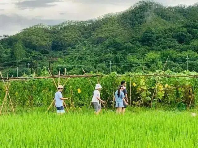 bbae2f962a3e176f42df472086daf205.jpeg