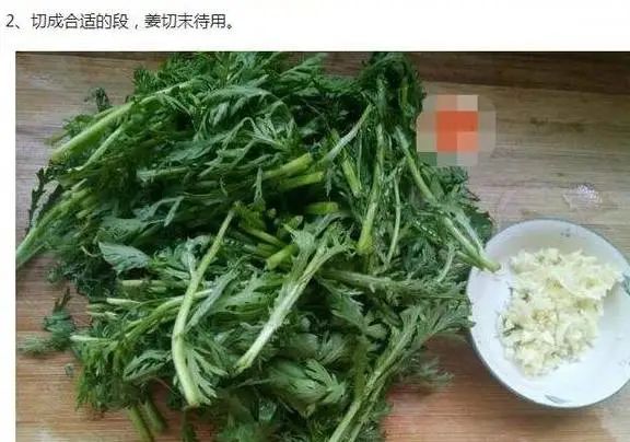 bd5ad113a16fa39735716d67f42144e8.jpeg