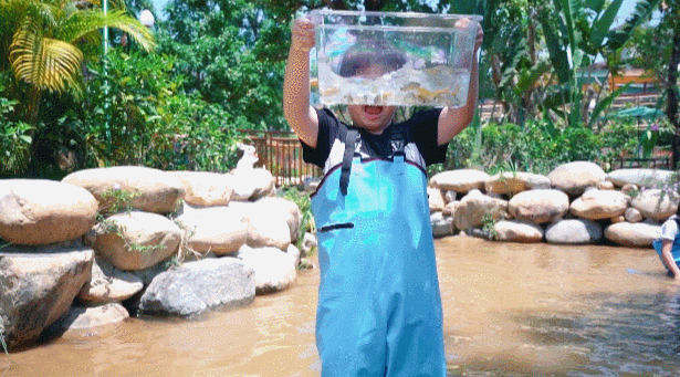0476d5ad7217f151e13dc1d729e77e9b.gif