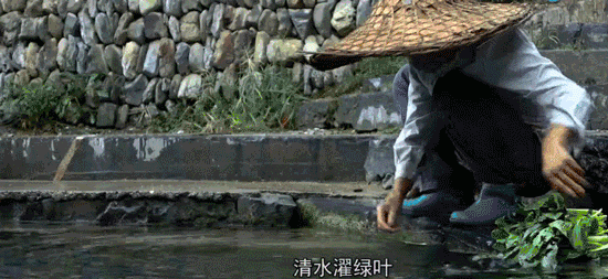 16fe03d04b4ee38cd3782949a1d1f424.gif