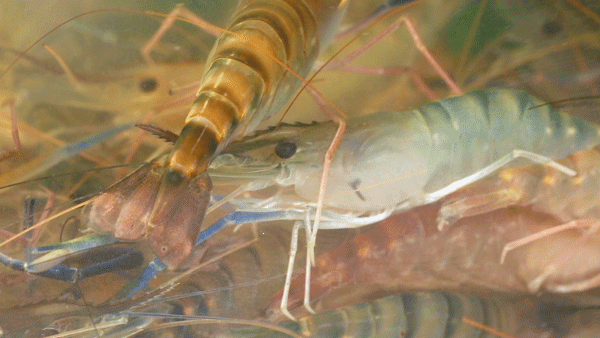 7a1076be5e56583cb45757759b700978.gif