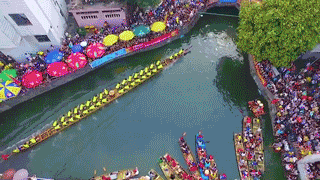 7744ff7970786f8c1895398a59cb6125.gif