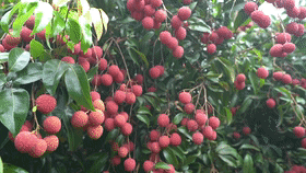b8996a3ba0d18d2884613e70e48a5a1d.gif
