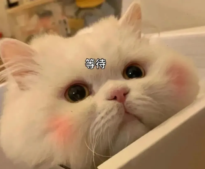 ed5f94504587659a5b5369af0e5bbab9.png