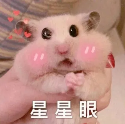 302af5dcdb36963d3bf3f64731f9c6fb.png