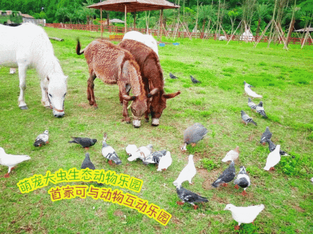 c12a7487b9fb209d62c554aa68a5011f.gif