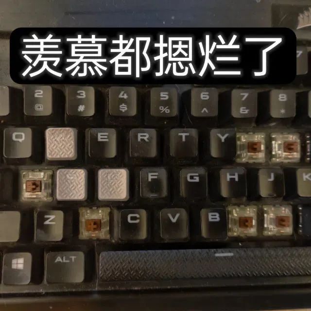 82ad7ae15365069c4950031b8352843a.jpg