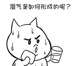 88e54b00d76cb7607e1ad890637af672.png