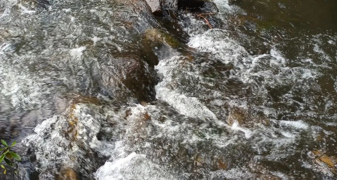 59495657505d48e372c5eed0ed66ba5e.jpeg