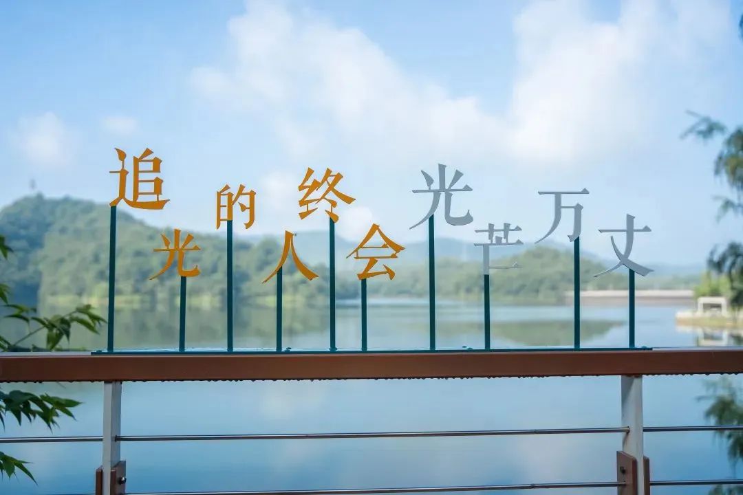 aa55242c73a741711997ab4ee559a44f.jpeg