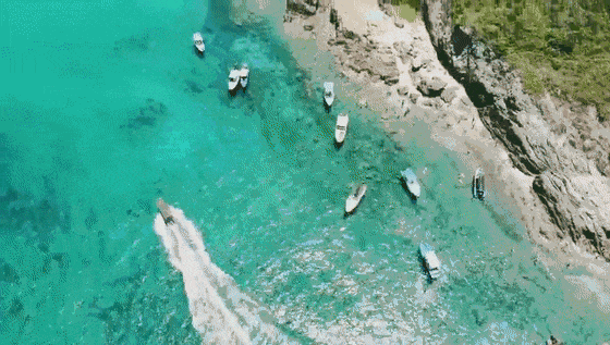 d7b000a596896ae3fe739bb595a4a47e.gif