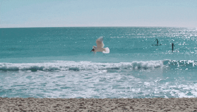 ded903395e00b1b6a60aad5ca7b72dca.gif