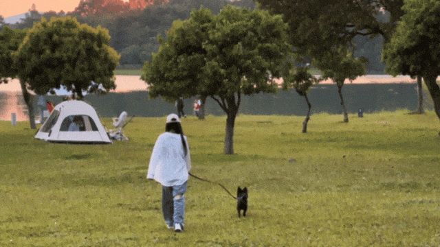 54a4a0a19183892b8a6ac605f8258e73.gif