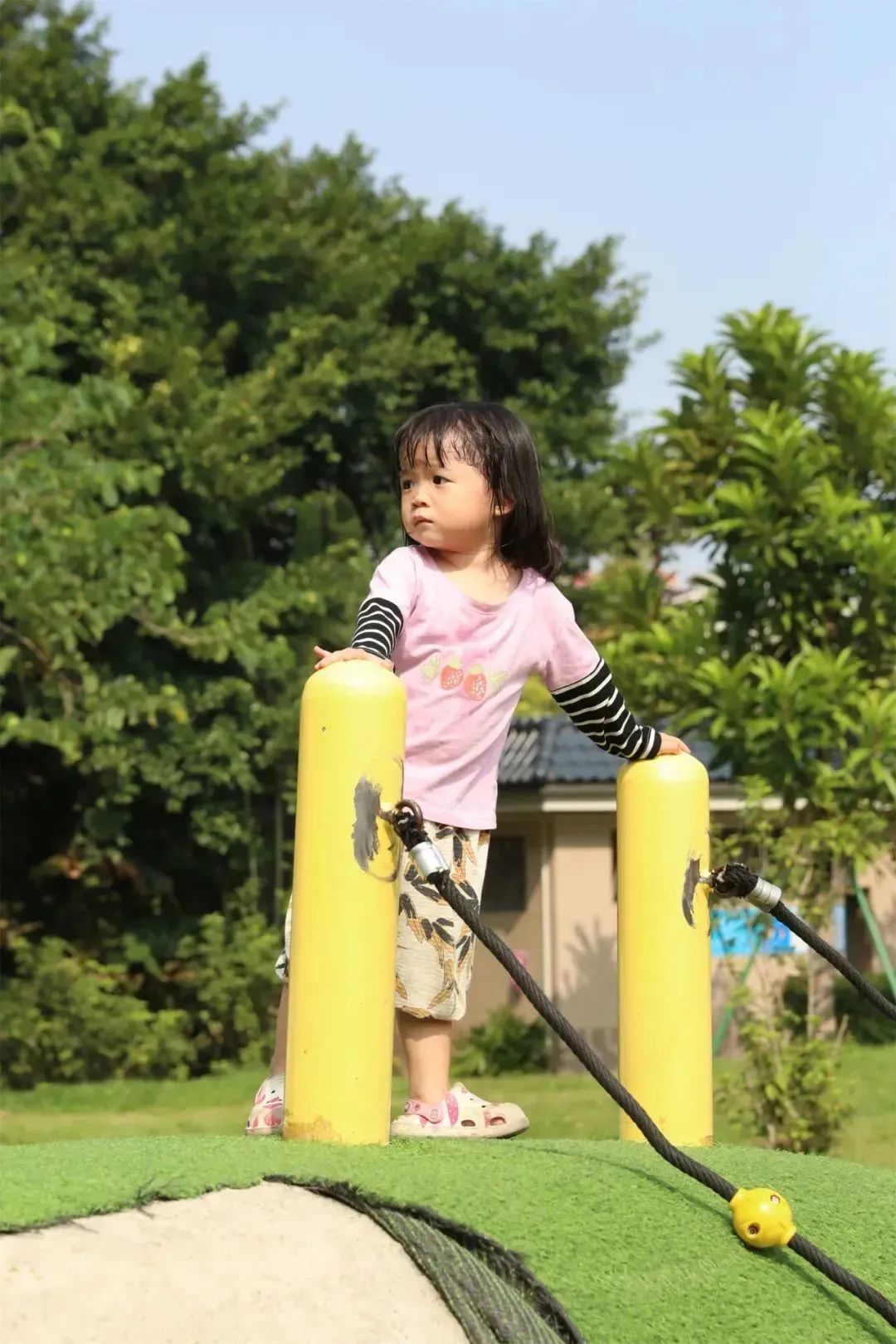 62d13ab566b99e5b0aa5aafa17606efb.jpeg