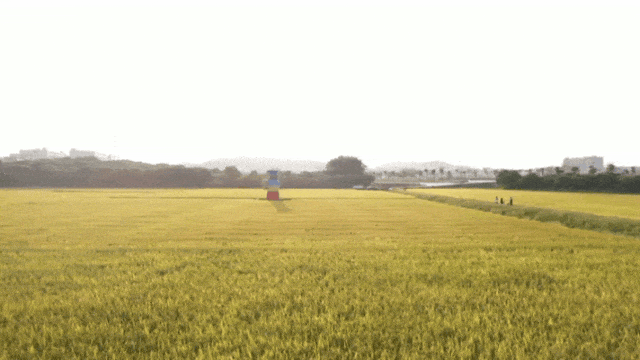 7887d38732d92b0c13a2e582a4202f39.gif