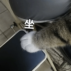 a4ddad171f31d5e5f66cc925183132a0.gif