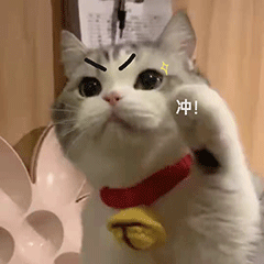 7a3bb22cd4e39a8de401430e46bac379.gif