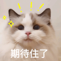 a1a0253df0a3687e8cbccf5c52fbe0cf.gif