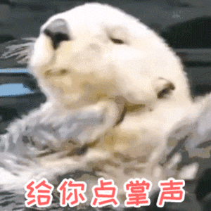 b665a02ffd80510773d221607a7d62f9.gif