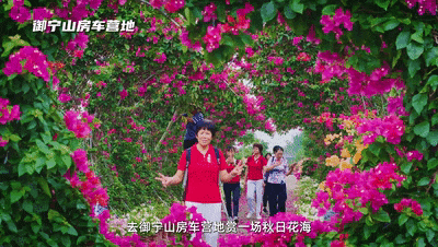 ce2b36a2582c36c452ce183de586379f.gif