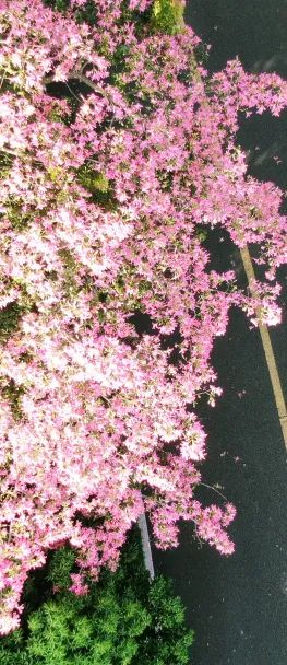 cc84e53c7b51102d50b915a4e43e91cb.jpeg