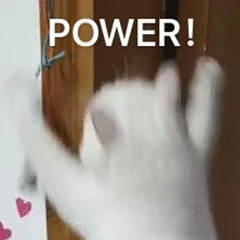 3394d61a37130431379f87f021cf8d5c.gif