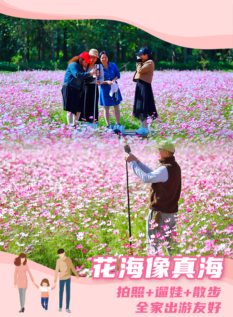 9fc37f2e923c1fe450882f88247e6522.png