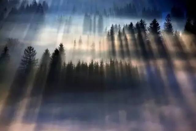 ae6cdad8808a5d2fc73cbb109123e3f0.jpeg